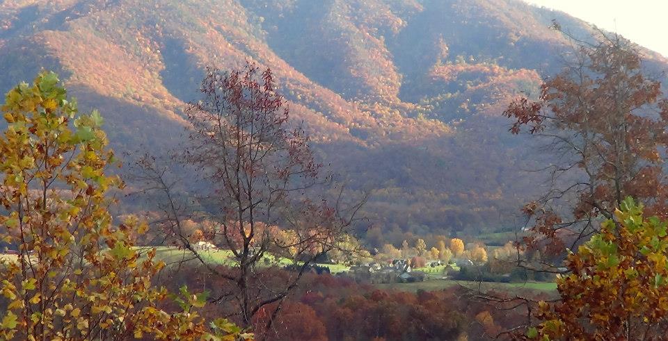 10445918_892067437476510_8012425132799470216_n